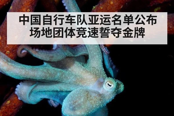 中国自行车队亚运名单公布 场地团体竞速誓夺金牌 | jiuyou game